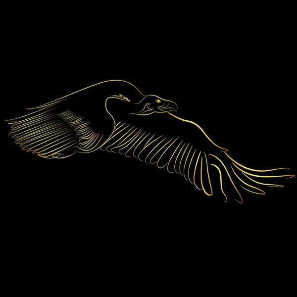 Vautour Frontière Dorée Cinereous Oiseau Volant Dessus Fond Noir Vector — Image vectorielle