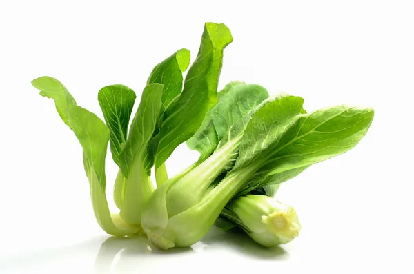 Chinese Cabbage isolate on white background — Stock Photo, Image