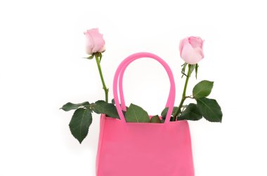 Pembe Gül Sevgililer Günü'nde beyaz izole