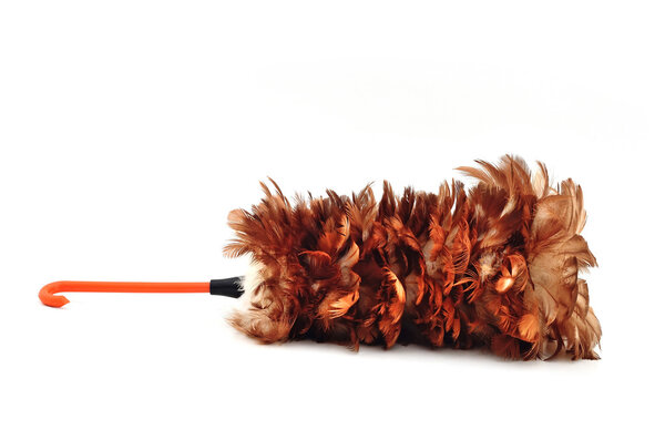 feather duster isolate on white background