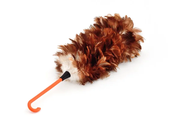 Feather duster isolate on white background — Stock Photo, Image