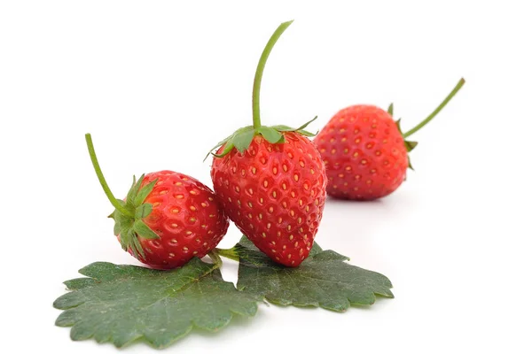Schöne Erdbeeren und Blätter isoliert auf weiß — Stockfoto