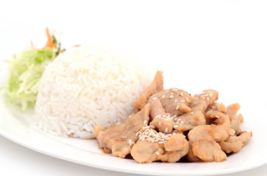 Korece Marine domuz eti pilav izole beyaz arka plan üzerinde