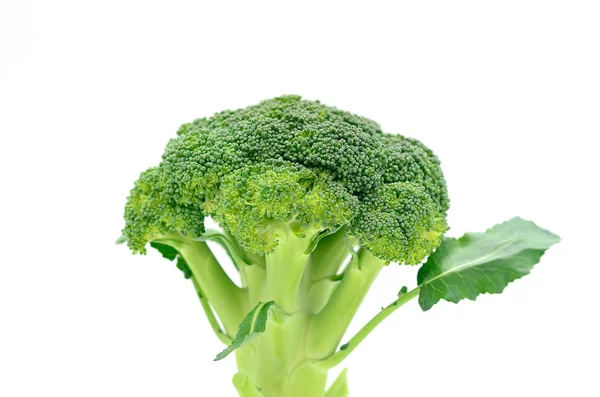 Brokoli yaş sebze ayrı tut moduyla arka plan üzerinde — Stok fotoğraf