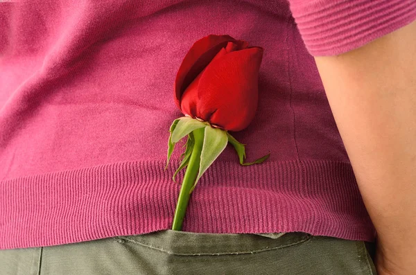 Boy attach red rose in trouser pocket prepare valentine's gift — Stock Photo, Image
