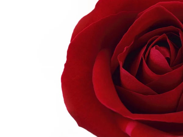 Closeup Red subiu para o presente de Valentim — Fotografia de Stock