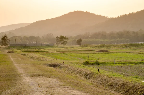 Scenérii západ slunce za hory v Chiangmai, Thajsko — Stock fotografie