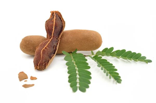 Tamarind και των φύλλων σε απομονωμένες λευκό φόντο — Φωτογραφία Αρχείου