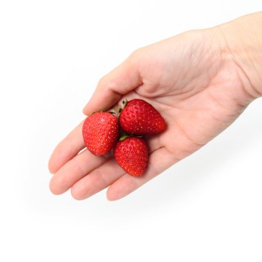 çilek beyaz izole holding eller