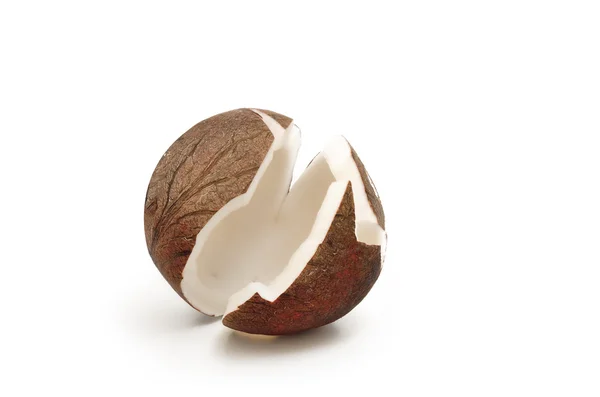 Coconut isolated on white background — Stock Photo, Image