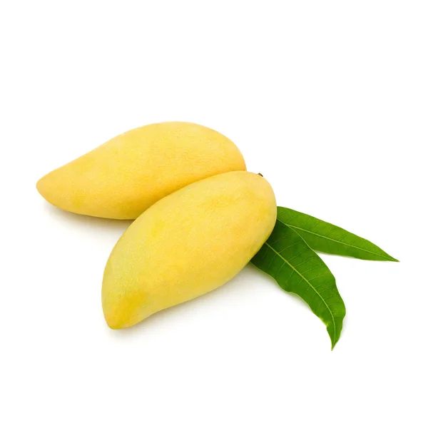Frutto di mango in fondo bianco isolato — Foto Stock