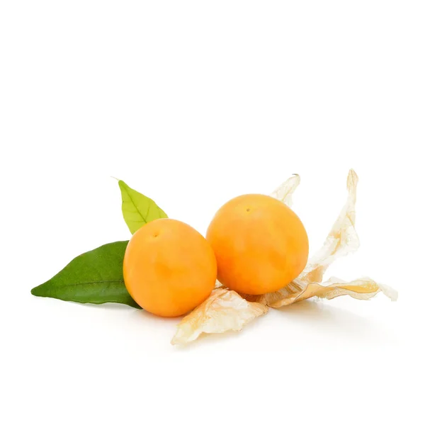 Cape gooseberry fruit — Stock Photo, Image