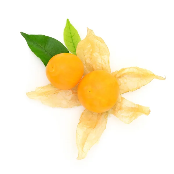 Cape gooseberry fruit — Stock Photo, Image