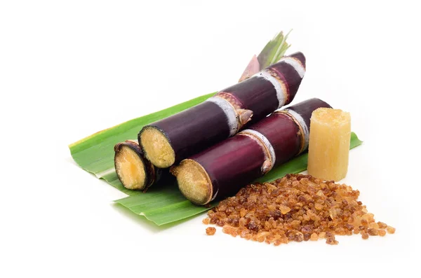 Beyaz arkaplanda izole şeker kamışı