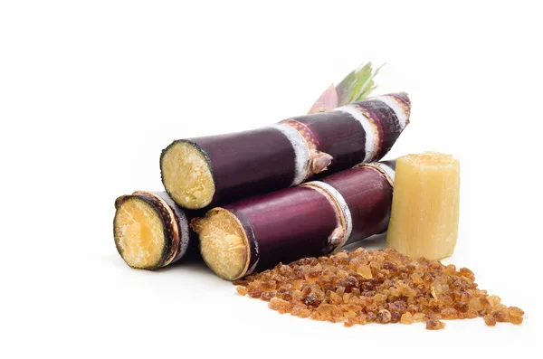 Beyaz arkaplanda izole şeker kamışı