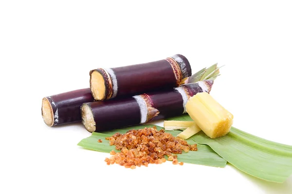 Beyaz arkaplanda izole şeker kamışı