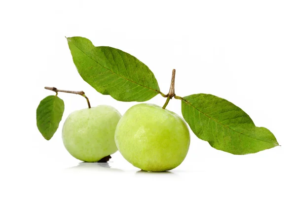 Guava (trópusi gyümölcs) fehér alapon — Stock Fotó