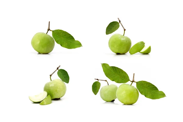 Guava (tropical fruit) on white background — Stock Photo, Image