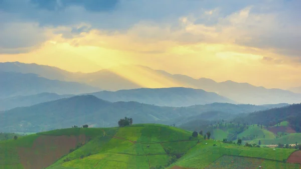 Landscape sunset background — Stock Photo, Image