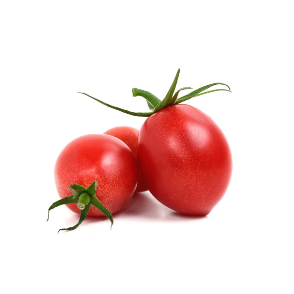 Sammlung roter Tomaten — Stockfoto