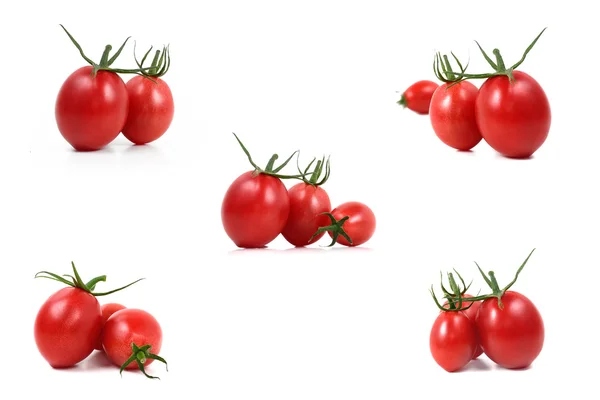 Sammlung roter Tomaten — Stockfoto