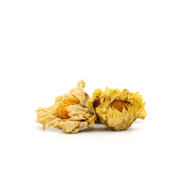 Close up dried chrysanthemum flowers isolate on white — Stock Photo, Image