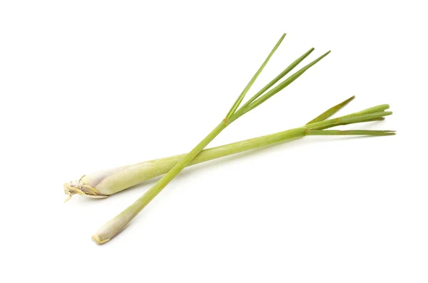 Lemon Grass, Lapine — Stock Photo, Image