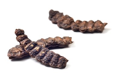 Sabun Bob, Acacia Concinna beyaz arka planda izole edildi