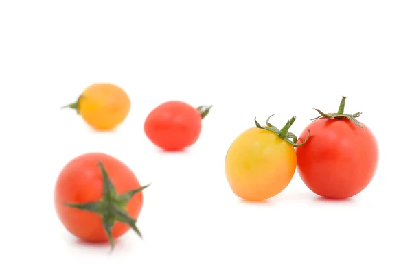 Frische Tomaten isolieren auf weißem Hintergrund — Stockfoto