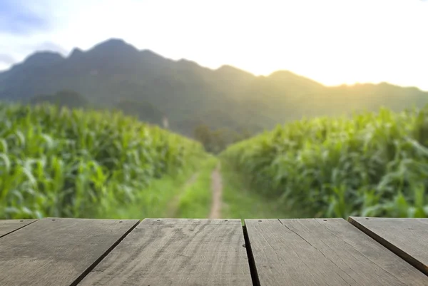 Desenfoque e imagen borrosa de madera de terraza y campo de maíz dulce en la hora de la puesta del sol para el uso de fondo —  Fotos de Stock
