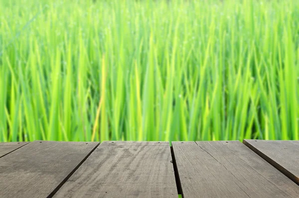Image floue et floue de bois de terrasse et beau riz paddy pour une utilisation de fond — Photo