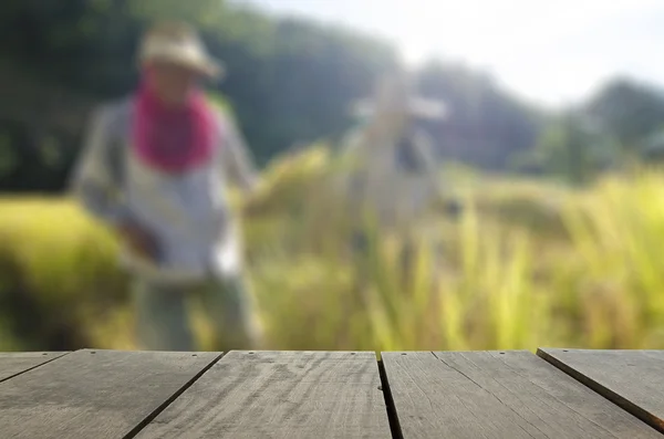 Desenfoque y desenfoque imagen de terraza madera y agricultor cosecha arroz con cáscara en la granja para uso de fondo — Foto de Stock