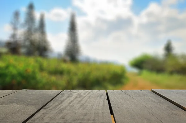 Imagem desfocada e desfocada de madeira de terraço e belo parque de jardim para uso de fundo — Fotografia de Stock