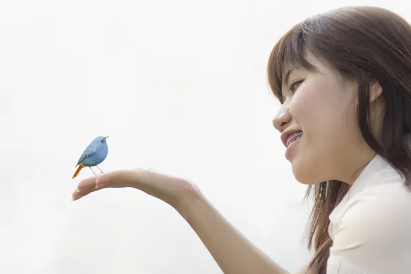 Joven pájaro anidando .Chick bebé Plumbeous Redstart (Rhyacornis fuliginosa) en manos femeninas — Foto de Stock