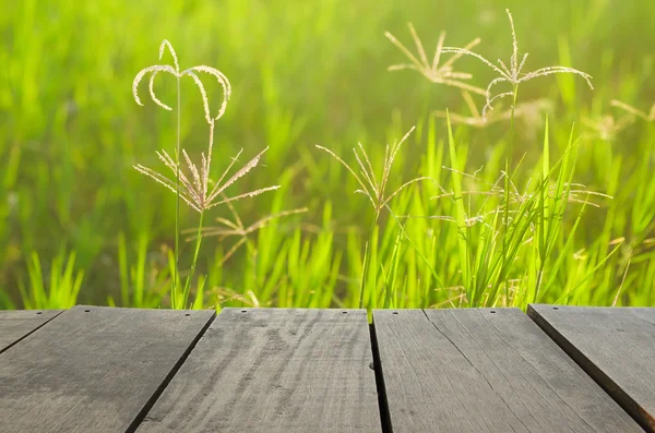 Terrasse en bois et champ d'herbe verte utilisation comme fond naturel, toile de fond — Photo