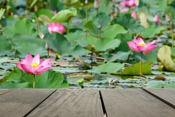 Immagine sfocata e sfocata di legno terrazza e bel fiore di loto rosa nello stagno per l'uso di sfondo — Foto Stock