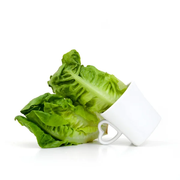 Baby Cos lettuce put in beautiful cup isolate on white — Stock Photo, Image