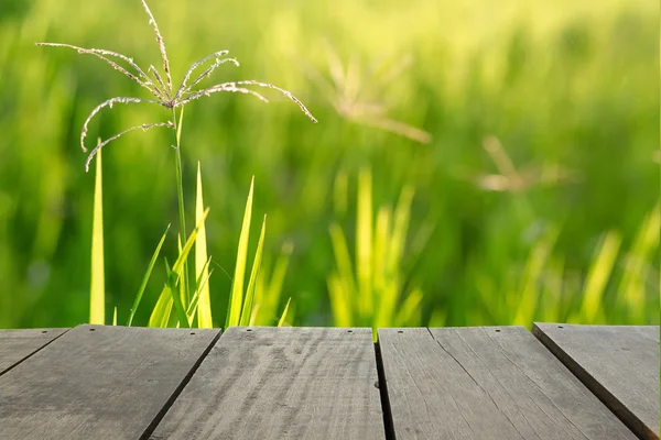 Terrasse en bois et champ d'herbe verte utilisation comme fond naturel, bac — Photo