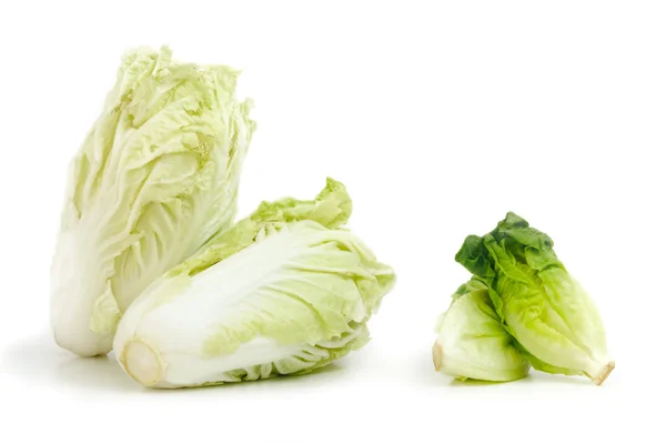 Nappa cabbage and Baby Cos lettuce put in beautiful cup isolate — Stock Photo, Image