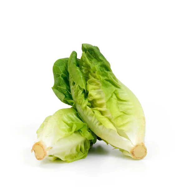 Baby Cos lettuce put in beautiful cup isolate on white — Stock Photo, Image