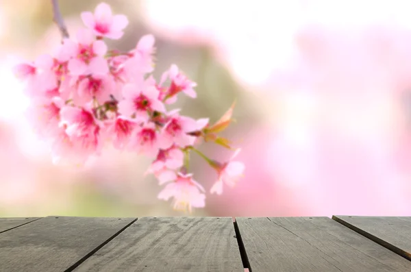 Defocus and Blur background of terrace wood and Spring cherry bl — Stock Photo, Image