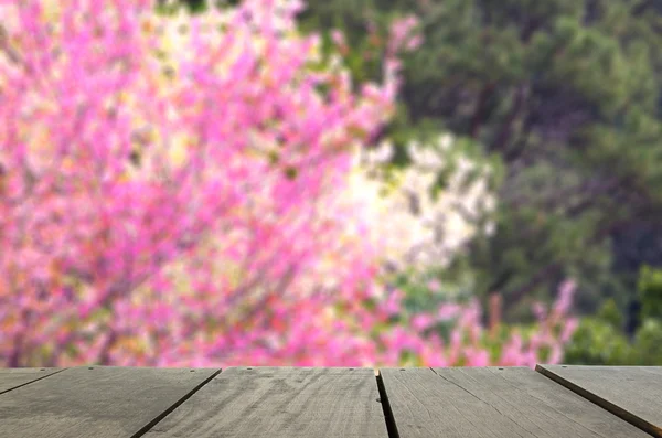 Primavera flor alegre no fundo verde — Fotografia de Stock