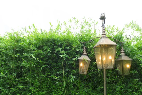Cerca de árvore de bambu e lâmpada bonita para uso de fundo — Fotografia de Stock