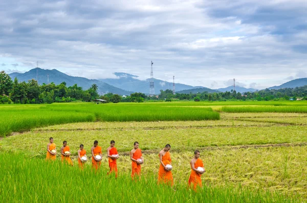 Chiangmai, Thailand - okt 24: Varje dag mycket tidigt på morgonen, munkar promenad i fältet att tigga ge mat erbjudanden till en buddistmunk den okt 24, 2014 i Maechaem, Chiangmai, Thailand — Stockfoto