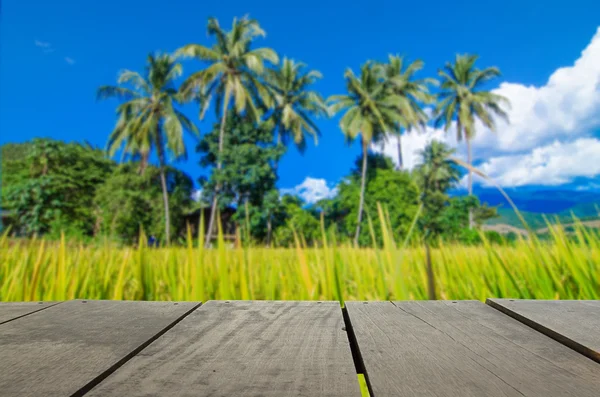 Intreepupil en vervagen beeld van terras hout en terras veld en s — Stockfoto