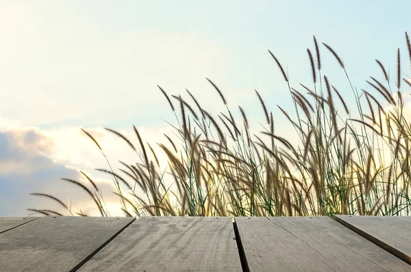 Terras hout en voorjaar seizoen aard achtergrond met gras op w — Stockfoto