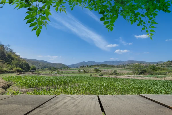 Terasa, dřevo a krajiny pohled pro relaxaci čas v den ráno — Stock fotografie