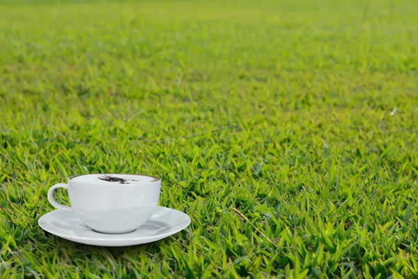 Café cappuccino na grama verde no tempo da manhã — Fotografia de Stock