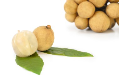 Longkong, Langsat veya Lanzones meyve Güneydoğu Asya'ya endemik