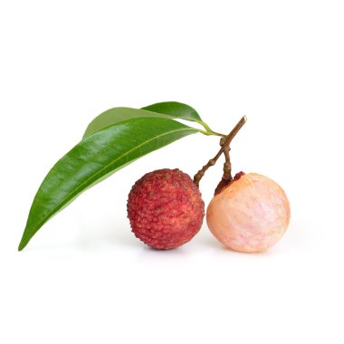 taze lychee
